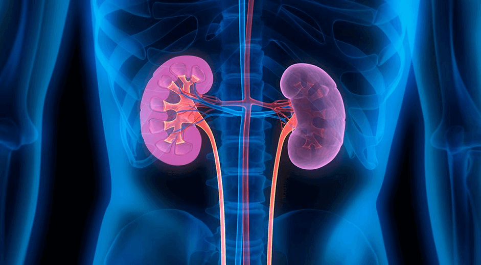 Insuficiencia Renal Crónica aumento al 10% de la población mundial.